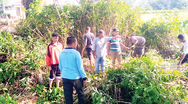 2 Ekor Piton dan Sarang Tabuan Tanah Resahkan Warga Pisang 1 PENCARIAN PITON— Lurah Pisang Deswarman bersama warga melakukan pembersihan semak-semak, sekaligus mencari ular piton yang diduga telah lama bersarang dan bersembunyi di lokasi tersebut, Minggu (28/7).