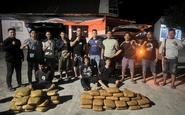 GANJA— Tim Ditresnarkoba Polda Sumbar menangkap 
3 pengedar yang kedapatan membawa 55 Kg ganja 
dari Panyabungan, Sumut.