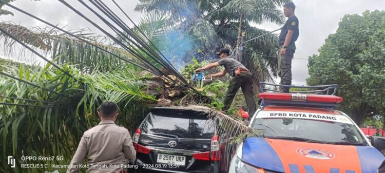 EVAKUASI POHON TUMBANG— Tim Reaksi Cepat BPBD Kota Padang melakukan evakuasi pohon tumbang yang menimpa satu unit mobil serta kabel listrik di dua lokasi berbeda, Senin (19/8) siang.