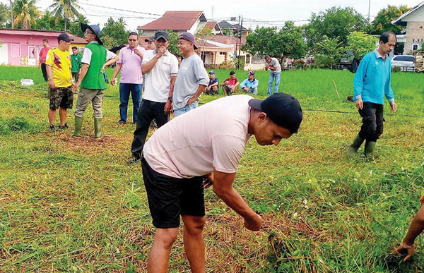 Sambut HUT ke-79 RI, Warga Kelurahan Pisang Goro Bangun Lapangan Voli 1 GORO BUAT LAPANGAN VOLI— Lurah Pisang Deswarman, Ketua Pemuda Mayor TNI (Purn) Syamsul Rizal, Ketua RT 01/RW II Meri, dan juga warga Pisang, bergoro membuang lapangan voli di jalan Djamaluddin Wak Ketok, Minggu (4/8).