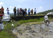 Terkait Bisnis PLN Indonesia Power UBP Ombilin, Manager Pastikan Berkoordinasi dan Komitmen dalam Pengelolaan 