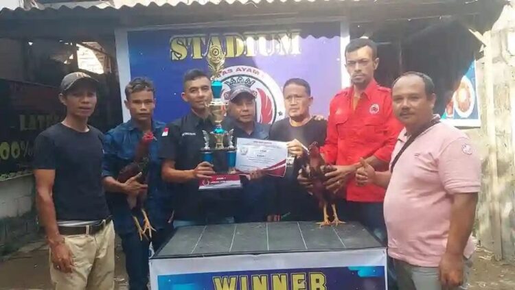 Ayam Jago Bunga Bikin Keok Panglima 1 BERIKAN— Piagam kemenangan bagi Ayam pertarungan asal Sawahlunto Bunga dan Jalak yang diberikan
oleh Komando Sumbar kepada Komando Sawahlunto.