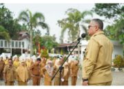 Solsel Himbau Untuk Gabung Bersama Pemerintah Lewat Tes CPNS 2024, 44 Posisi untuk Formasi Umum dan Formasi Khusus