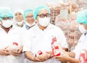 Turunkan Stunting, ID FOOD Percepat Penyaluran 4,3 Juta Paket Bantuan Pangan