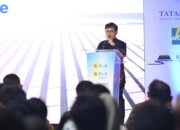 PLN-AHP Operasikan PLTS Ground-Mounted 100 MWP