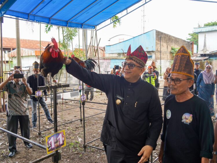 Pj Walikota Padang Andree Algamar saat membuka acara perlombaan ayam kukuak balenggek yang dilaksanakan di samping gedung Bagindo Aziz Chan Youth Center.