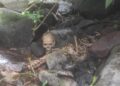 Geger! Ada Kerangka Manusia di Pinggir Sungai, Kondisinya sudah Terpisah-pisah