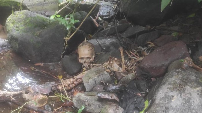 Geger! Ada Kerangka Manusia di Pinggir Sungai, Kondisinya sudah Terpisah-pisah 1 KERANGKA MANUSIA— Penemuan kerangka manusia di pinggir sungai, Jorong Batu Gadang, Nagari Padang Laweh, Kecamatan Sungai Pua, Kabupaten Agam.