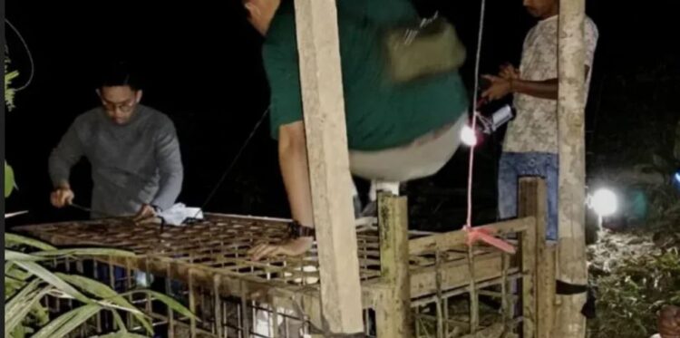 BKSDA Sumbar Pasang Perangkap, Beruang Madu di Solok Selatan Resahkan Warga 1 PASANG PERANGKAP— Tim gabungan yang terdiri dari WRU Balai KSDA Sumbar, Balai Taman Nasional Kerinci Seblat memasang perangkap untuk beruang madu yang sudah meresahkan warga.