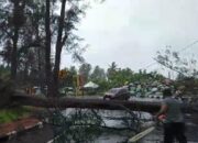 Curah Hujan Tinggi Disertai Badai Terjang Kota Pariaman