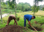 Atasi Banjir di Taman Bidadari, DLH Buat Biopori