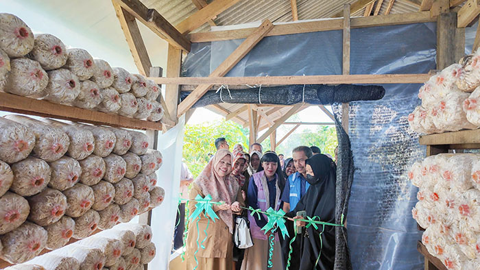 Dukung Pemberdayaan Perempuan di Kelurahan Air Putih Kota Pekanbaru, Srikandi PLN Serahkan Bantuan Alat Usaha dan Kumbung Jamur untuk Kemandirian Ekonomi 1 a31da4a8 3fd1 4644 8f7d b83cf8da8514