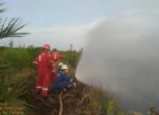 Kerja Sama Bersama PetroChina International Jabung, SKK Migas Bantu Tangani Karhutla Jambi