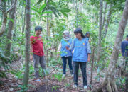 Dukung Pelestarian Lingkungan, PLN Laksanakan Restorasi Tahura Sultan Syarif Hasyim dengan Bambu dan Tanaman Eksotis Langka