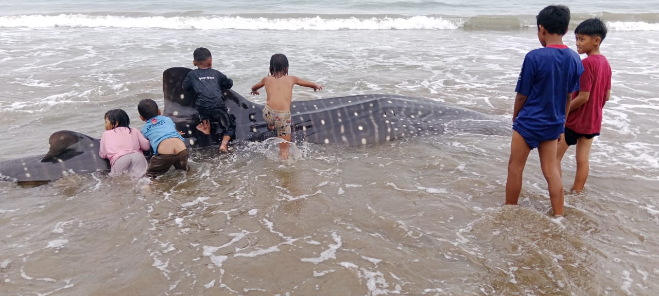 ea0dfb9b 1f15 49ea b6d0 ac916630221b