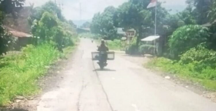 MEMBAHAYAKAN—Kondisi ruas jalan provinsi Simpang Empat-Talu Kabupaten Pasaman Barat banyak yang berlubang dan membahayakan pengendara.
