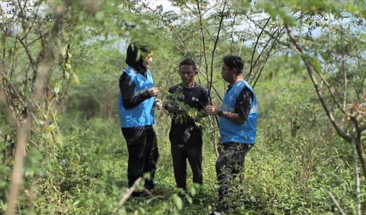Pengembangan Biomassa PLN di Tasikmalaya, Dikelola Masyarakat, Didukung Pemerintah 1 15f0eda5 f6f6 4c26 9c89 cbe8fc2fe9dc