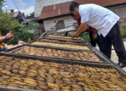 Feri Buya Dengarkan Harapan Pelaku Usaha Sale Pisang