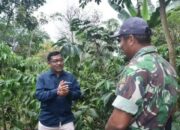 PTBA Bantu Petani Kopi