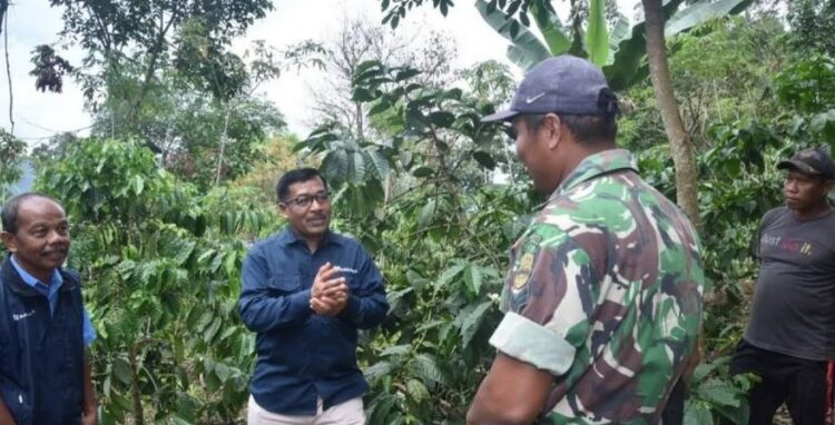 PTBA Bantu Petani Kopi 1 SURVEI— General Manager PTBA Ombilin Yulfaizon survei kondisi perkebunan kopi yang sedang dirintis personel Kodim 0310 Sawahlunto Sijunjung bersama Kelompok Tani Muda Berkarya Kayu Gadang Desa Santur Sawahlunto, baru-baru ini.