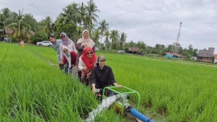 IMG 20241009 WA0026 1 750x422 1