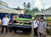 Kemenag Dampingi Kelompok Tani Cabai di Kampung Zakat