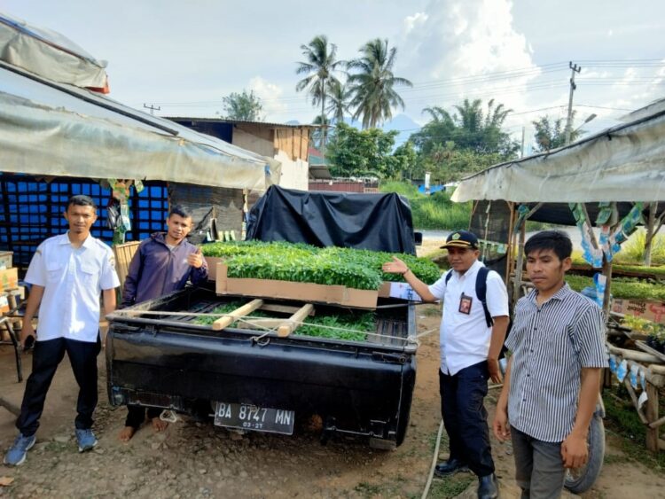 Penyelenggara Zakat dan Wakaf Kemenag Lima Puluh Kota Memen Efendi ketika menyerahkan bibit cabe kepada kelompok tani cabe