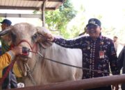 Pj Wako Payakumbuh Dorong Peternak Melahirkan Inovasi