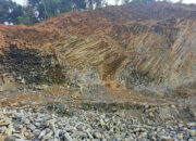 Unand Bakal Lakukan Penelitian ODCB Surantiah 