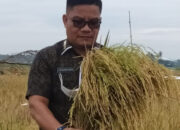 Rentang 2021 hingga 2023, DPKP Bangun dan Rehabilitasi 79 Unit Jaringan Irigasi Tersier