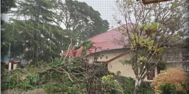 Hujan Disertai Angin Kencang Landa Ibukota Solsel, 16 Unit Rumah Terdampak di Beberapa Jorong 1 TIMPA POHON—Terlihat satu unit rumah tertimpa pohon tumbag di salah satui Jorong yang berada di Kecamatan Sangir, Kabupaten Solok Selatan, Rabu (30/10).