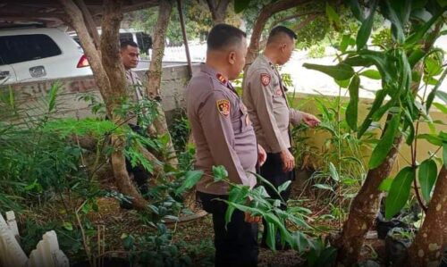 Polsek Batang Kapas Sulap Pekarangan Kosong Jadi Lahan Ketahanan Pangan 1 2 4 e1731402708561