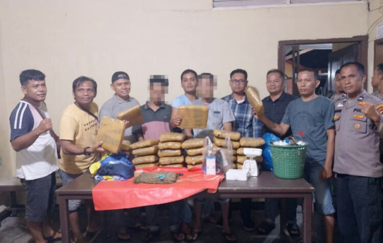 PENGEDAR— Tim Gabungan Polres Pasbar bersama 
Polsek Talamau menangkap dua pengedar dengan barang bukti sabu dan ganja.