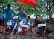 Selalu Ikut Andil Dalam Event Tahunan “Hari Menanam Pohon Indonesia”, Pln Bangun Ketahanan Pesisir Bengkalis Dengan 6.000 Mangrove