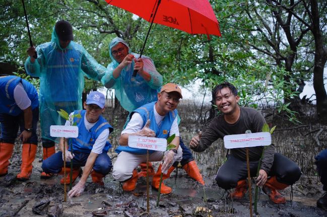 Selalu Ikut Andil Dalam Event Tahunan “Hari Menanam Pohon Indonesia”, Pln Bangun Ketahanan Pesisir Bengkalis Dengan 6.000 Mangrove 1 323