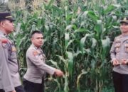 Anggota Bhabinkamtibmas Motivasi Warga, Berdayakan Lahan Kosong