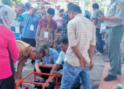 Dinas Pertanian Agam Gelar Pelatihan Pompanisasi, Tingkatkan Kompetensi Petani dalam Operasional Alsintan