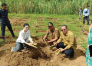 Kerjasama dengan Koperasi Kana Jatim, Pjs Bupati Agam Menginisiasi Pendirian Pabrik Gula Tebu di Matur