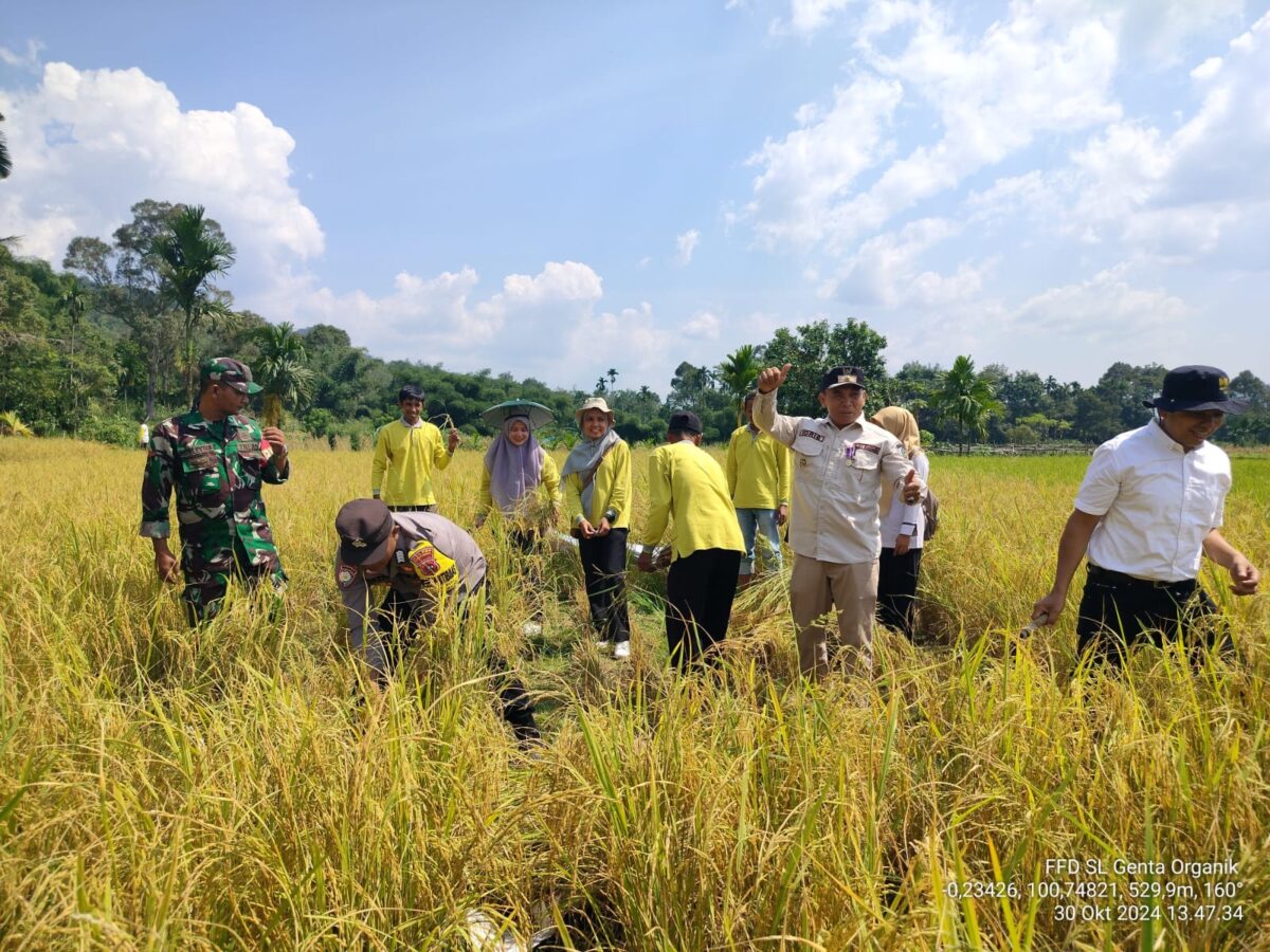 Ratusan Anggota Kelompok Tani Ikuti Sekolah Lapang