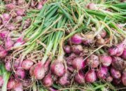 Pasokan Cukup, Harga Bawang Merah dan Terung Turun Signifikan