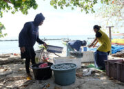Dukung Kemajuan Masyarakat Kepulauan di Sulawesi Selatan, Layanan SuperSUN PLN, Inovasi Listrik Bersih 24 Jam