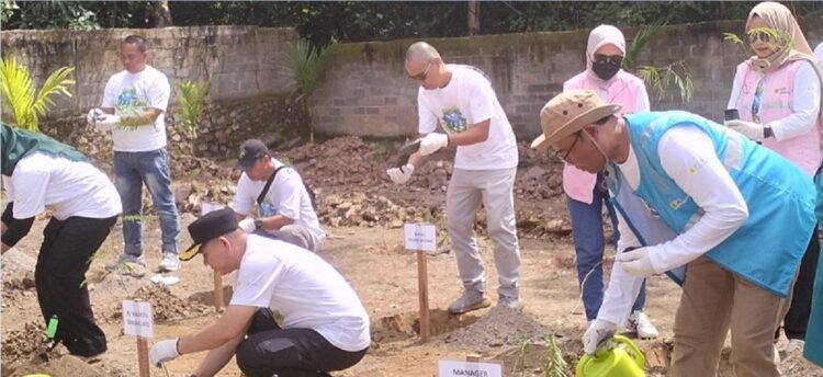 TANAM—
Manajer PLN IP Ombilin Sawahlunto dan PJ Walikota Sawahlunto Fauzan Hasan menanam pohon Kaliandra di lahan seluas 2 Hektar Keltan Tunas Muda.