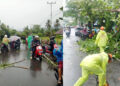 Hujan Lebat Semalaman, Pohon Tumbang di 7 Titik, Hambat Akses Jalan hingga Timpa Ruang Jenazah RS 10 Hujan Lebat Semalaman, Pohon Tumbang di 7 Titik, Hambat Akses Jalan hingga Timpa Ruang Jenazah RS