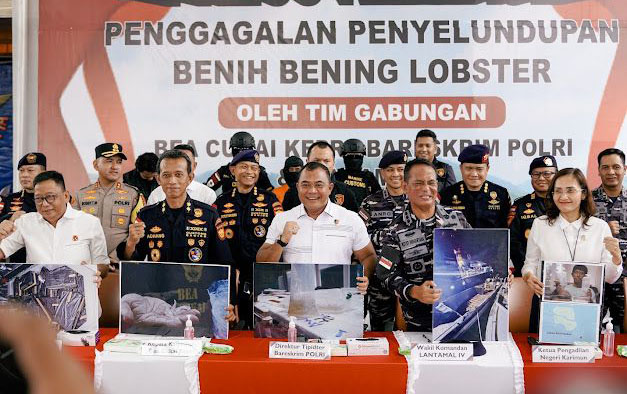 Bareskrim Polri Gagalkan Penyelundupan 151 Ribu Benur 1 PRESS RELEASE— Press release penggagalan penyelundupan benih bening lobster oleh tim gabungan Bea Cukai dan Bareskrim Polri.