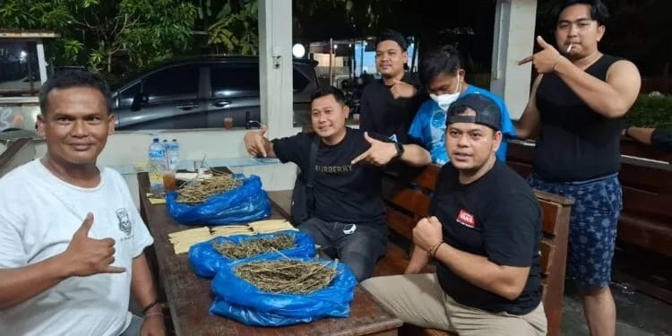 Baru Keluar Penjara, Afdal Ditangkap lagi Gegara Narkoba, Digerebek saat Memaketkan Ganja 2 Kg 1 GANJA— Afdal Husnah (23) ditangkap jajaran Satresnarkoba Polresta Padang dengan barang bukti 2 Kg ganja.