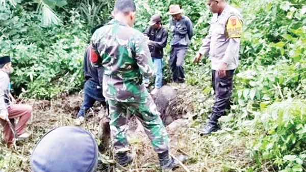 Hampir Sebulan Hilang, Wanita Lansia Ditemukan Tinggal Kerangka 1 EVAKUASI— Tim gabungan mengevakuasi kerangka wanita lansia yang ditemukan di areal perkebunan di Nagari Koto Hilalang, Kecamatan Kubung, Kabupaten Solok.