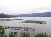 Keramba Dibatasi, Petani Danau Maninjau Terancam Kehilangan Mata Pencaharian