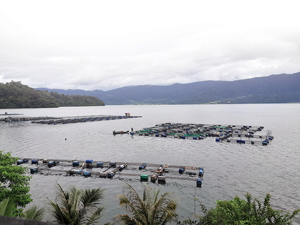 Keramba Dibatasi, Petani Danau Maninjau Terancam Kehilangan Mata Pencaharian 1 KERAMBA JALA APUNG— Keramba jala apung yang menjadi sumber utama penghasilan untuk memenuhi kebutuhan keluarga masyarakat di sekitaran Danau Maninjau.