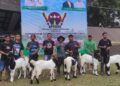 Ari Farm Buktikan Keunggulan Peternakan Kambing PE Asal Padang Panjang 11 Ari Farm Buktikan Keunggulan Peternakan Kambing PE Asal Padang Panjang