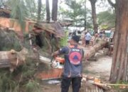 BPBD Pariaman Bersihkan Material Pohon Tumbang